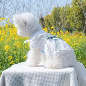Robe en dentelle blanche pour petit chien avec nœud bleu dans un champ de fleurs