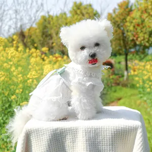 Robe en dentelle blanche pour chien avec nœud bleu clair et volants pour l'été