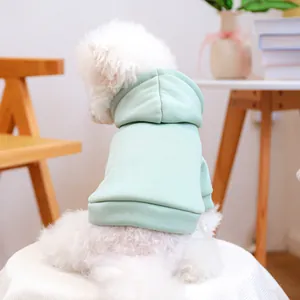Detail eines minzgrünen Kapuzenpullovers für Haustiere mit Rippenstruktur am Hund