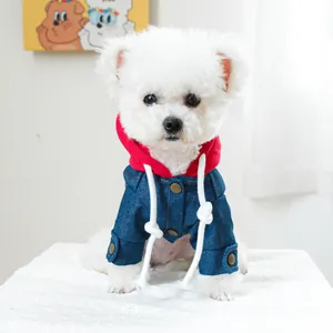 Stijlvolle rood-blauwe denim jas met capuchon voor kleine honden in een strak decor