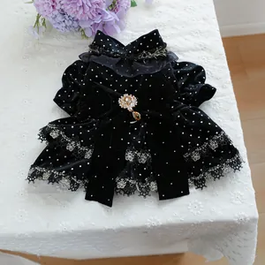 Détail d'une robe en velours pour chat avec dentelle et broche en strass dorés