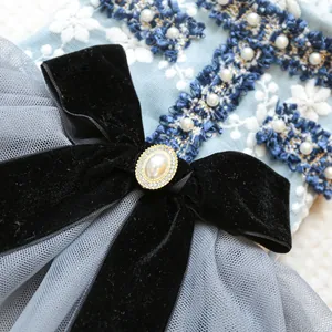 Dettaglio vestito vintage per animali con pizzo blu, fiocco di velluto e perla