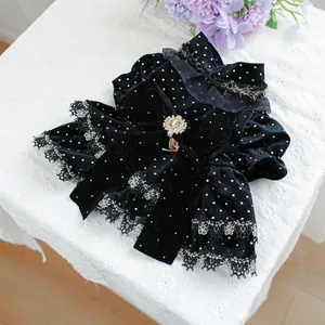 Détail de robe chic en velours pour animal avec dentelle argentée et broche dorée