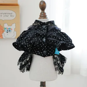 Détail d'une robe pour animal en velours noir à pois avec bordure en dentelle