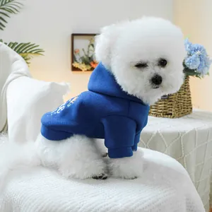 Gros plan du sweat à capuche bleu roi pour chien avec broderie couronne dorée et polaire