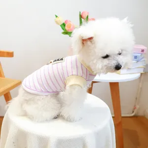 Detail van een paars gestreept huisdiervest met gele rand op een Bichon-hond