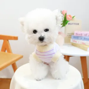 Gestreepte paars-witte huisdierenshirt met gele bies gedragen door een Bichon hond