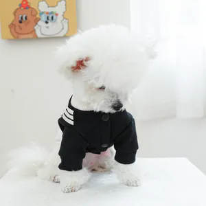 Close-up of a white Bichon wearing a black pet jumpsuit with white striped collar
