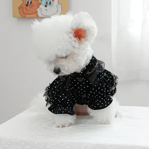 Détail de la robe noire à pois pour animal avec bordure en dentelle sur un petit chien