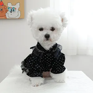 Robe élégante en velours noir à pois blancs avec col en dentelle pour petits chiens et chats
