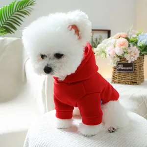 Sweat à capuche rouge pour petits chiens avec poignets côtelés sur un Bichon Frisé