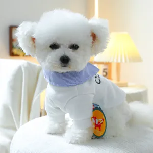 Detail of pet sweatshirt with blue striped collar and PETCIRCLE tag on a white Bichon