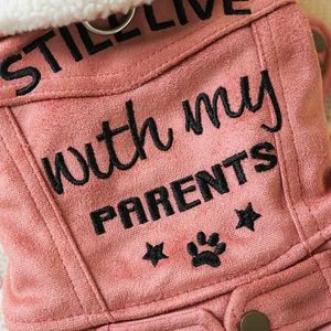 Detail of pink faux suede pet jacket with sheepskin collar and metal D-ring attachment