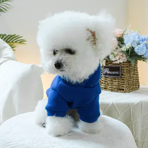 Détail d'un sweat à capuche bleu roi pour animal sur un chien Bichon Frisé