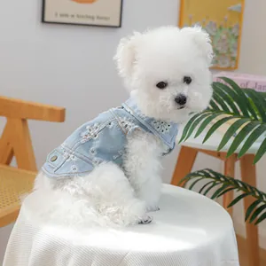 Detail of light blue denim pet vest with daisy embroidery on a Pomeranian dog