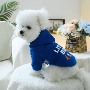 Sweat à capuche bleu pour chien avec broderie Little Bear dans un cadre intérieur