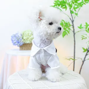 Detailed view of white pet shirt with lapel collar and buttons for small dogs