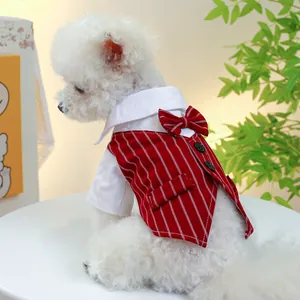 Detail of pet tuxedo suit featuring red striped vest and bow tie on a white dog