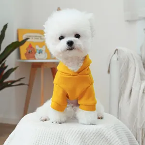 Sweat à capuche jaune pour animaux avec poignets côtelés sur un petit bichon blanc