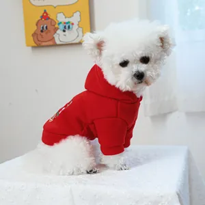 Close-up of small white dog wearing a red Christmas hoodie with bell embroidery details