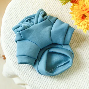Gros plan détaillé du sweat à capuche bleu ciel pour chat avec doublure polaire chaude