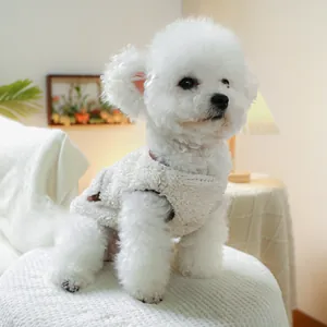 Close-up of warm beige lamb wool vest on a small dog in a cozy home setting