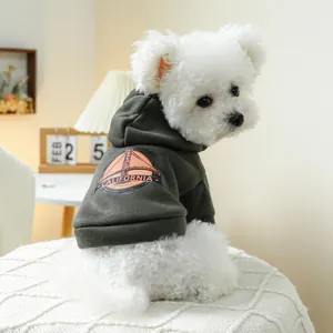 Nahaufnahme eines kleinen Hundes in einem dunkelgrünen California-Hoodie auf einem Sessel