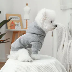 Gray pet hoodie with rainbow lettering for small dogs in a cozy home setting