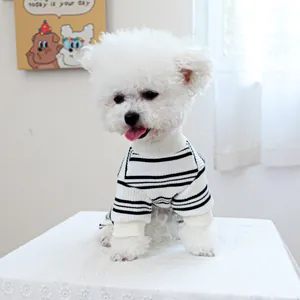 Close-up of a white dog wearing a black and white striped turtleneck knit sweater