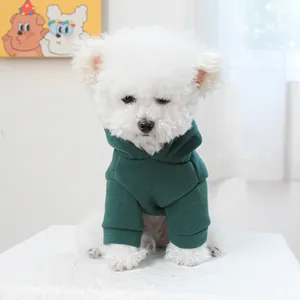 Front view of small dog wearing a dark green hooded knit sweater on a lace mat