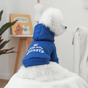 Détail du sweat à capuche bleu pour chien avec texte little miss BOSSY pour petit animal