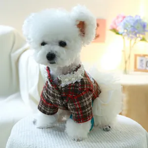 Detailansicht eines karierten Hundekleids mit Perlenhalsband und Spitze am Bichon