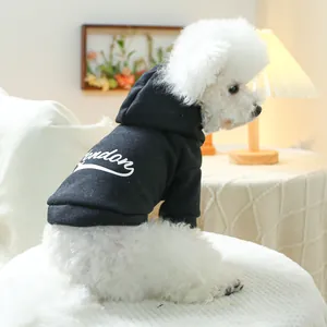 Detail eines schwarzen Hunde-Hoodies mit London-Aufdruck auf einem weißen Zwergpudel