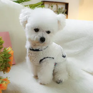 Close-up of white fleece dog vest with navy trim on a small dog in cozy home setting