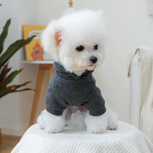 Dunkelgrauer Haustier-Hoodie aus strukturiertem Strick an einem weißen Bichon-Hund