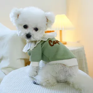 Close-up of sage green pet sweater featuring elegant white lace collar and embroidery