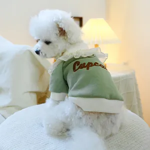 Detail eines grünen Hunde-Hoodies mit Spitzenkragen und Cupcake-Stickerei am Hund