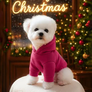 Close-up of a magenta pet hoodie on a white Bichon dog for Christmas warmth