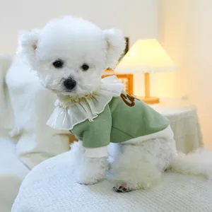 Close-up of a light green pet sweater with white lace collar and embroidered letters