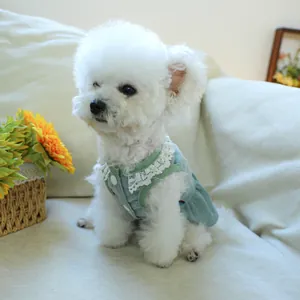 Detail of mint green corduroy pet dress with white lace collar and button back