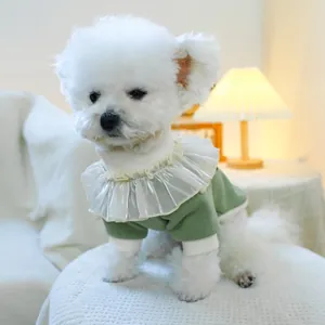 Detail of pet hoodie featuring ruffled vintage collar in green knit for small dogs