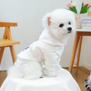 Detail of cream pet hoodie with ribbed cuffs and letter print on a Bichon Frise
