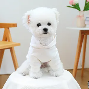 White hooded pet sweatshirt on Bichon Frise with soft cotton fabric for dogs and cats