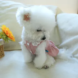 Close-up of pink corduroy pet dress with white lace collar and decorative button detail