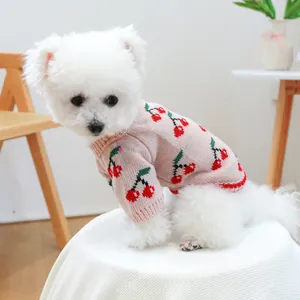 Pink knit pet sweater with cherry pattern on white dog in a minimalist home setting