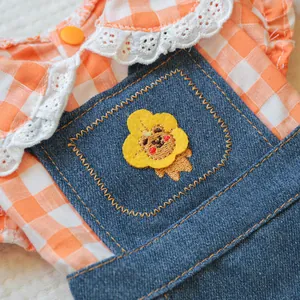 Dettaglio dell'abito in denim per animali, tessuto a quadretti arancioni, pizzo e ricamo leone