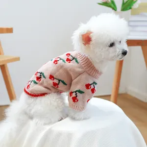 Pink pet knit sweater with cherry pattern on a white dog in a cozy home setting