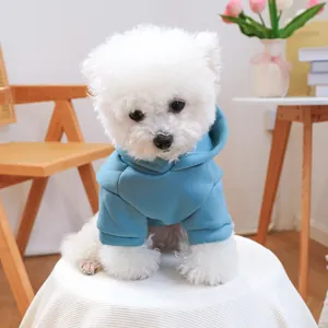 Blue hooded pet sweater with ribbed cuffs on a white dog in a cozy home setting