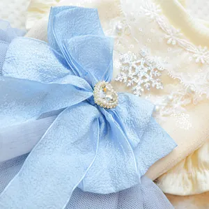 Detail of pet princess dress with blue silk bow, heart gemstone, and snowflake charm