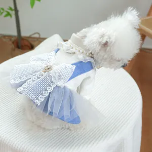Detail of pet dress with large lace bow, relief button and pearl on light blue mesh skirt